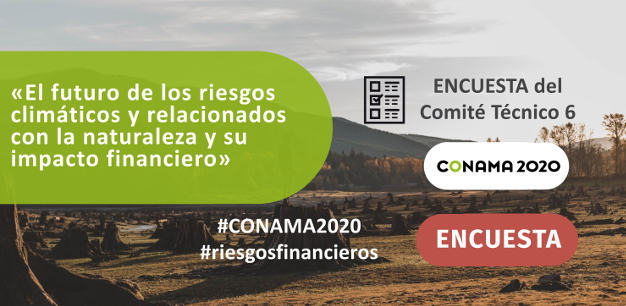 ¿Cuánto saben las organizaciones españolas sobre los riesgos financieros climáticos o relacionados con la naturaleza?